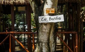 Co.banitas Tulum