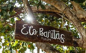 Eco Banitas Tulum